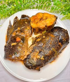 website template image