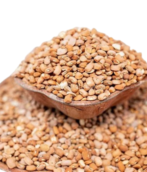 website template image