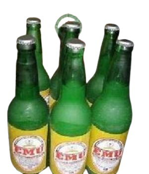 website template image